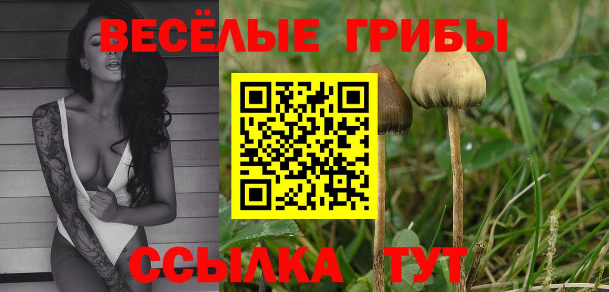 Псилоцибиновые грибы прущие грибы Глазов